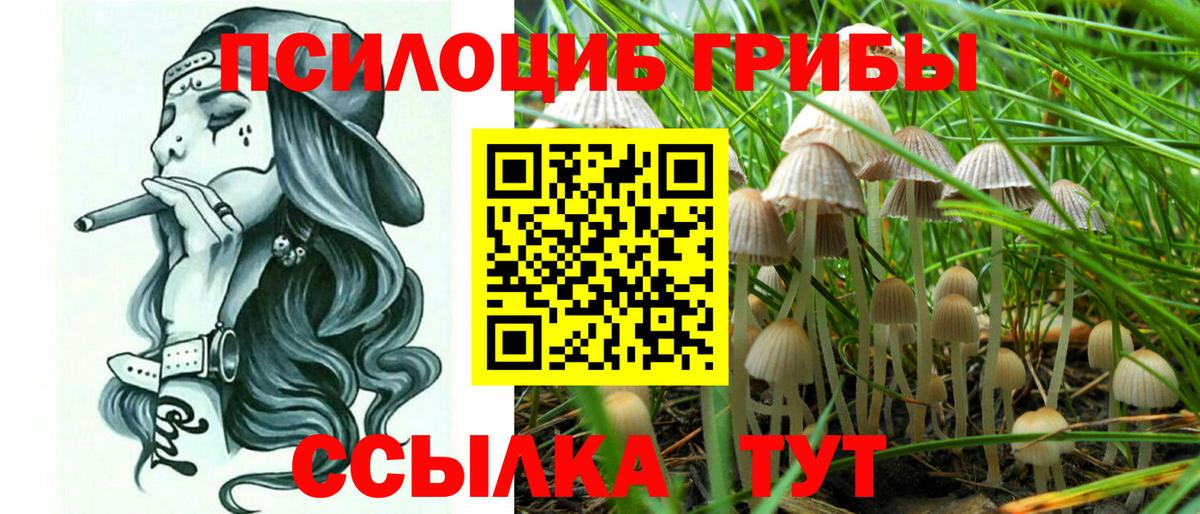 Псилоцибиновые грибы Magic Shrooms  Псилоцибиновые грибы MAGIC MUSHROOMS  Вход с VPN  Железногорск 