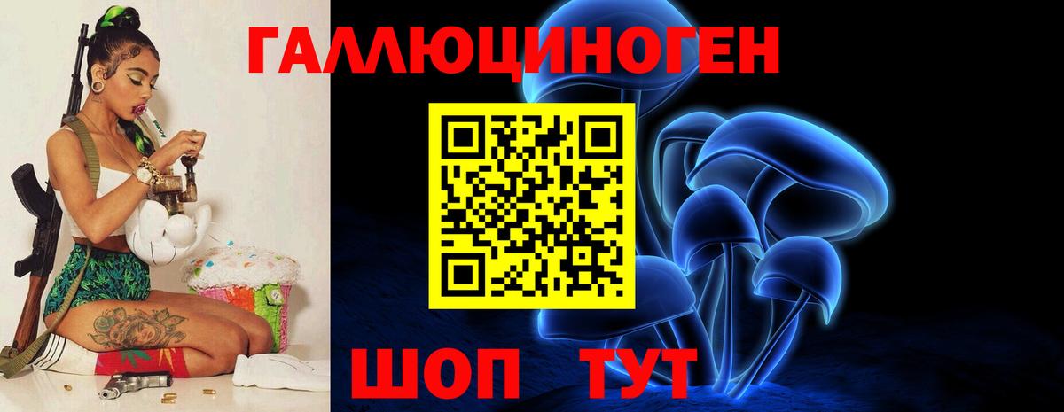 Псилоцибиновые грибы Cubensis Железногорск